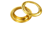Bakarna ringlica